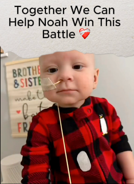 Save_Noah_from_cancer❤️🩹